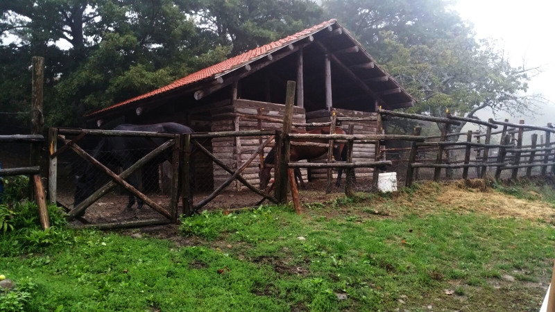 Parte Guelfa pellegrinaggio 2016 Casina della Burraia 2