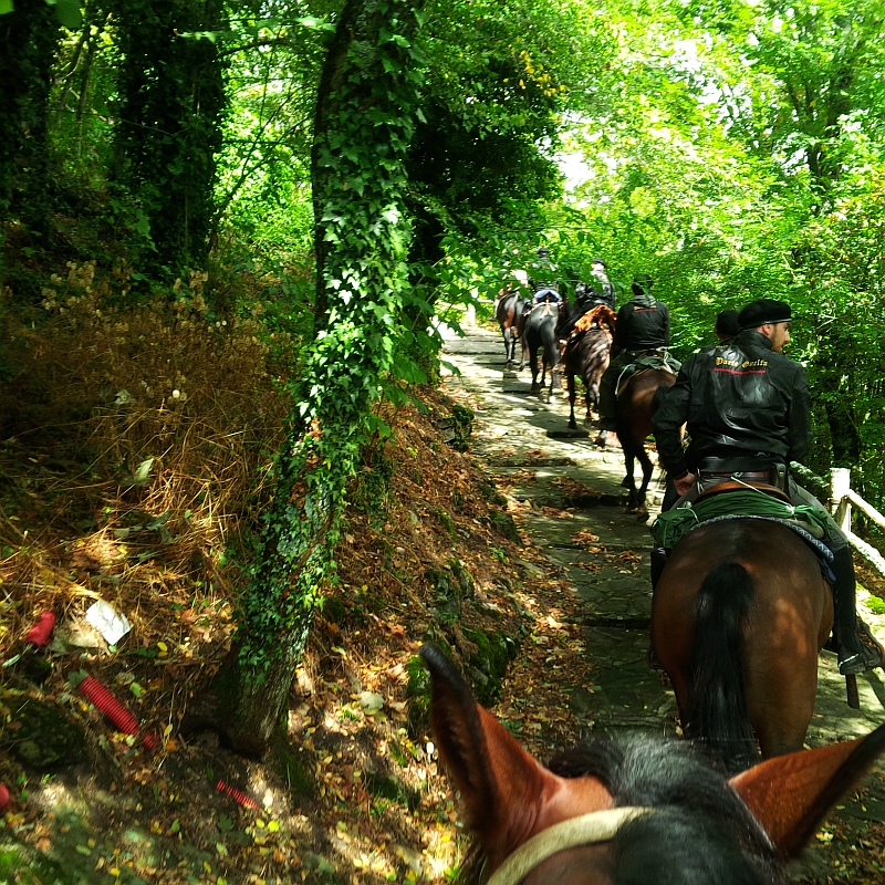 Parte Guelfa pellegrinaggio 2016 chiusi della verna 13