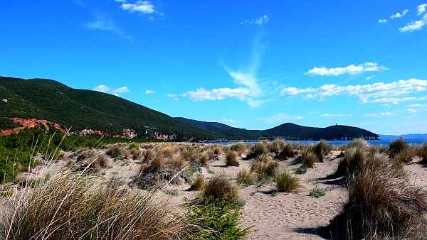 Parte Guelfa Maremma 2017 Cala di Forno