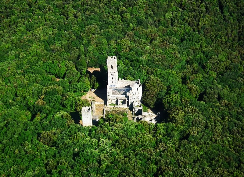 Parte Guelfa Maremma 2017 San Rabano 9