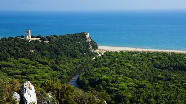 Parte Guelfa Maremma 2017 parco uccellina