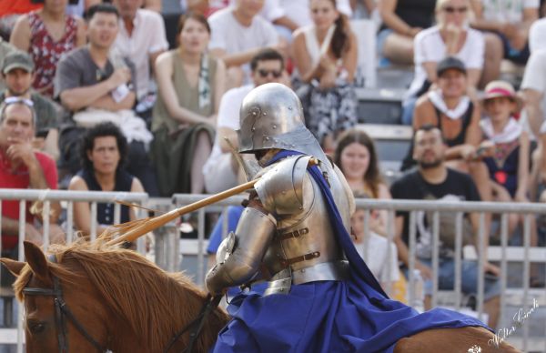 Parte Guelfa Giostra di Madonna Libertà 2019 b